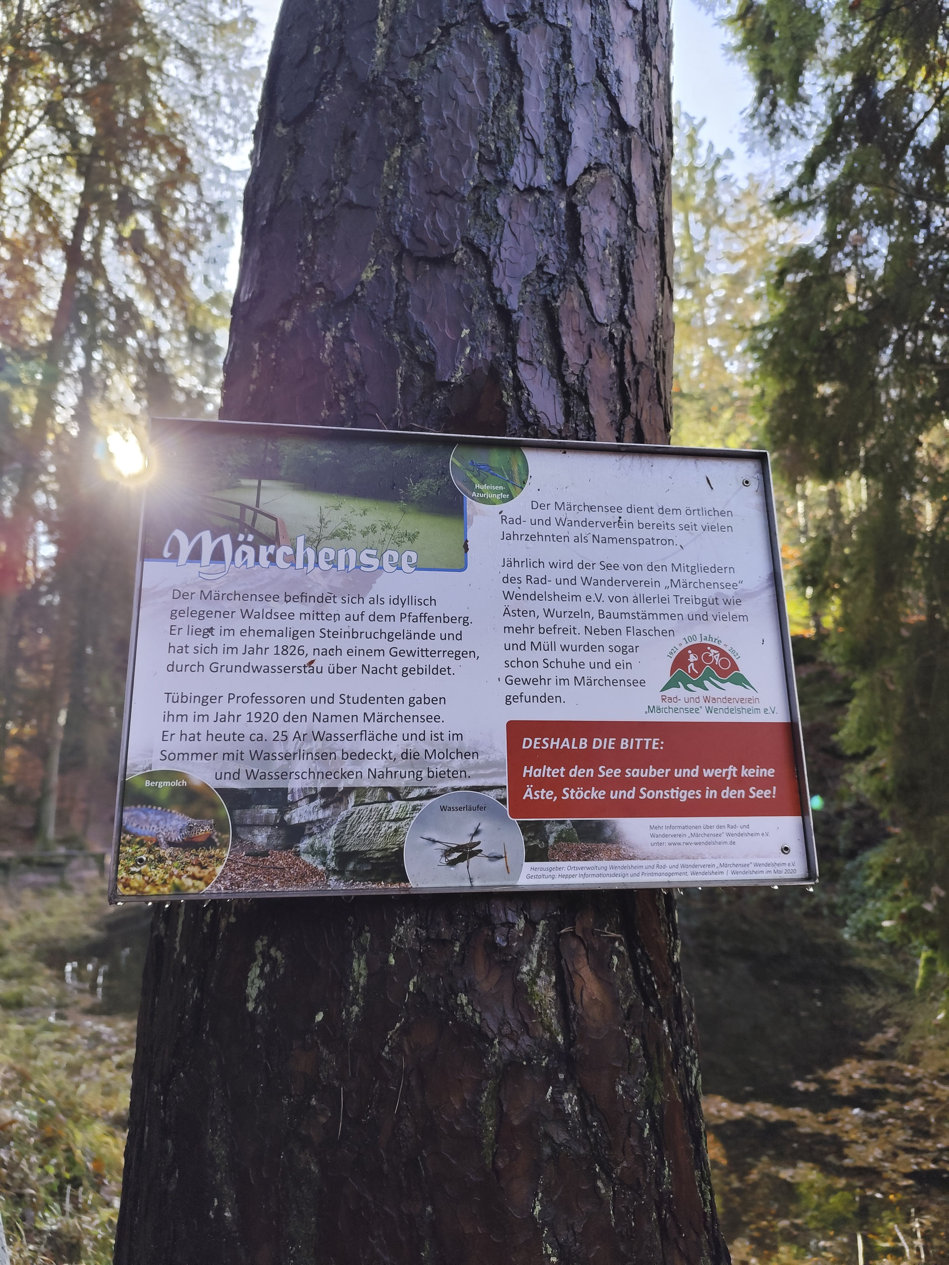 20251129121055 IMG 20251129 121055